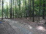 2011-05-07 KPF Wald 02.jpg